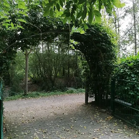 Doornedijk * Assenede